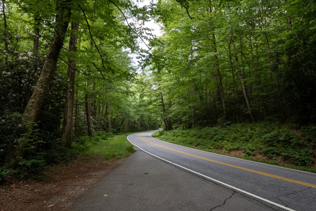 Best Road Trips in India