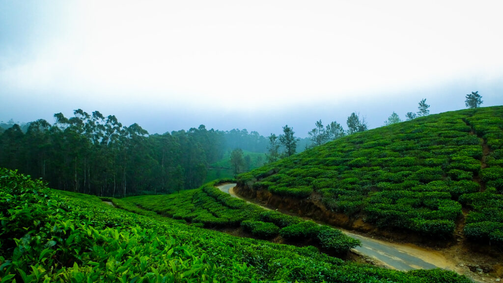 Best Road Trips in India