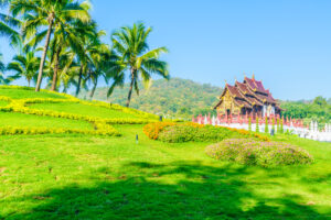 Places to Visit in Kerala