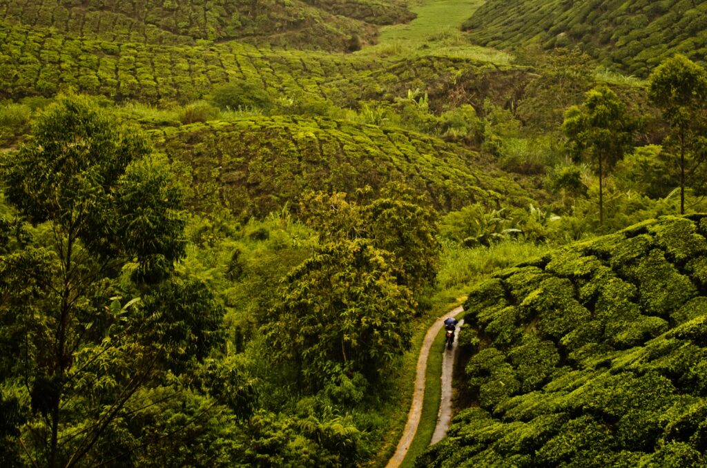 Places to Visit in Kerala